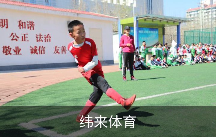 纬来体育介绍